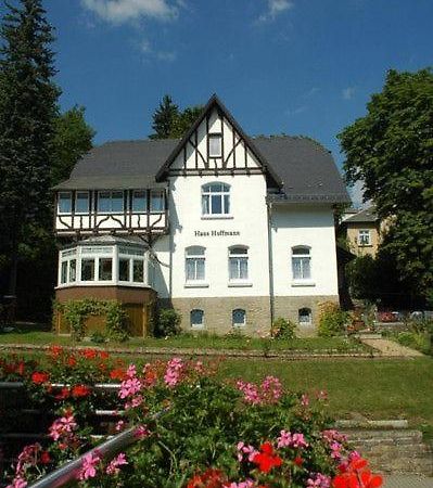 Ferienwohnung In Villa 바트엘스터 외부 사진