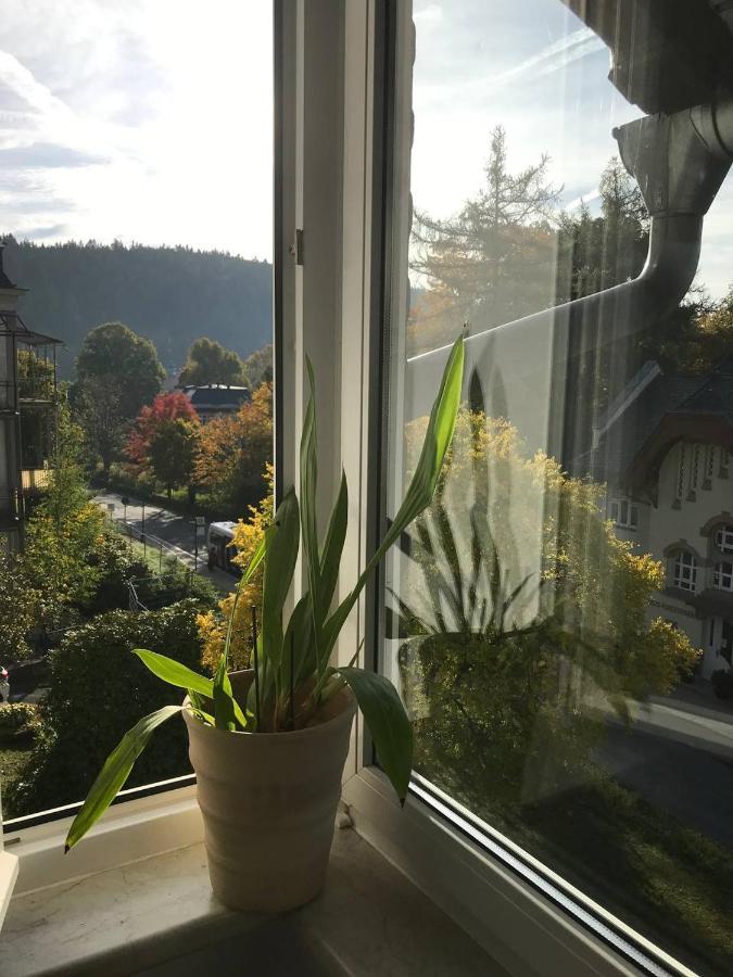 Ferienwohnung In Villa 바트엘스터 외부 사진